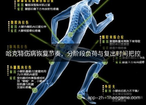 哈克特伤病恢复节奏，分阶段负荷与复出时间把控
